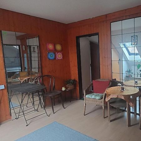 Brno - Apartman V Bohemske Ctvrti Kamenka Ngoại thất bức ảnh