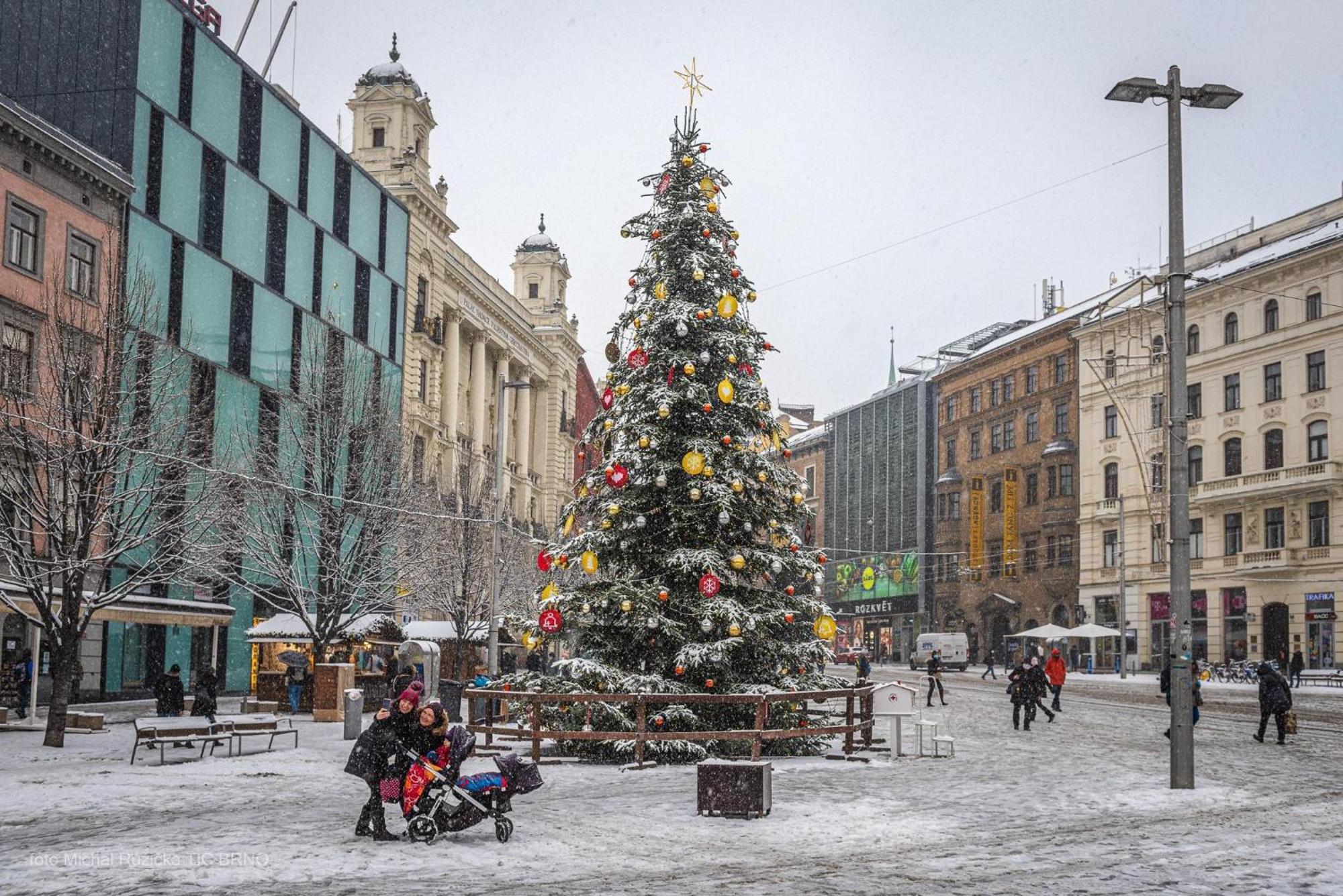 Brno - Apartman V Bohemske Ctvrti Kamenka Ngoại thất bức ảnh